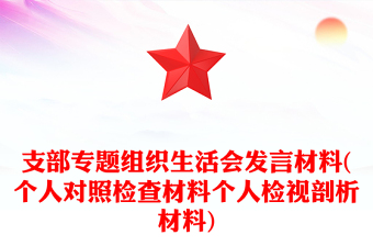 2025村干部党员民主生活会发言材料