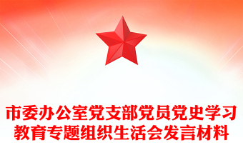 市委办公室党支部党员党史学习教育专题组织生活会发言材料