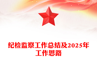 2025做党史稿子的总结