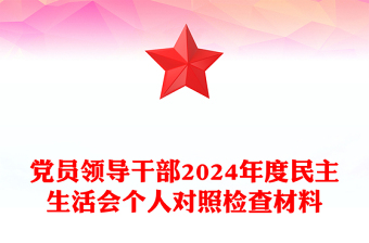 党员领导干部2024年度民主生活会个人对照检查材料汇编