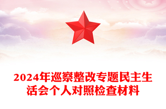 2024年巡察整改专题民主生活会个人对照检查材料汇编