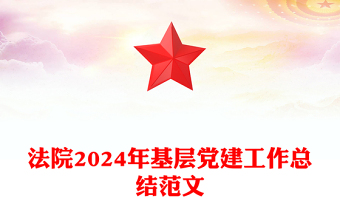 2025年党务总结范文