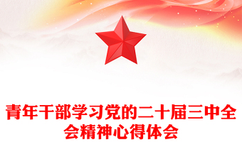 2024年学习党的第20届三中金精神ppt内容