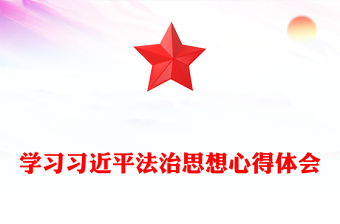 学习习近平法治思想心得体会word模板