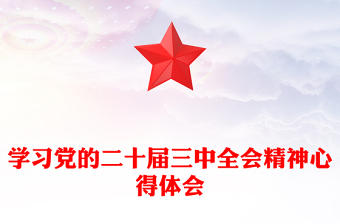 2025吴少柏宣讲二十届三中全会