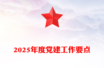 2025党建执行方案