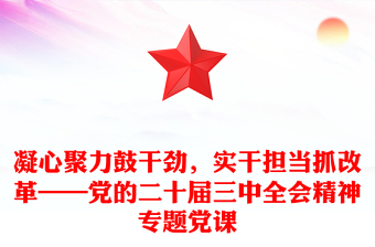 凝心聚力鼓干劲，实干担当抓改革——党的二十届三中全会精神专题党课word模板