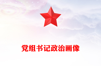 党组书记政治画像word模板