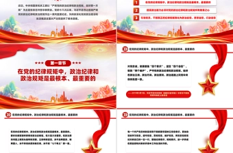 2025严明党的政治纪律和政治规矩PPT党课课件