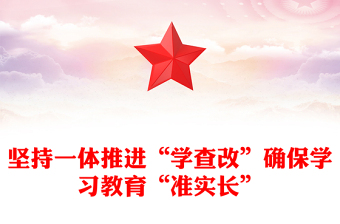 党政风坚持一体推进“学查改”确保学习教育“准实长”PPT主题教育党课(讲稿)