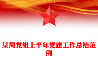 党建风某局党组上半年党建工作总结PPT模板(讲稿)