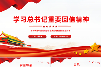 精美时尚新时代青年学习总书记重要回信精神PPT微党课