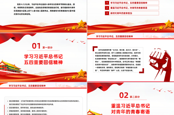 精美时尚新时代青年学习总书记重要回信精神PPT微党课