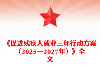 2025残疾人交友PPT