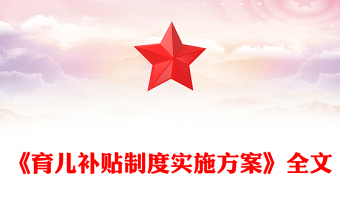 简洁大气《育儿补贴制度实施方案》PPT课件(讲稿)