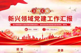 党政风新兴领域党建工作汇报PPT模板下载