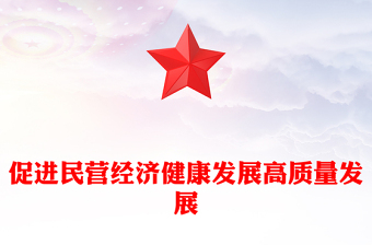 简洁大气促进民营经济健康发展高质量发展PPT总书记在民营企业座谈会上讲话课件(讲稿)