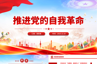 2025支委会自我批评末尾书记总结ppt