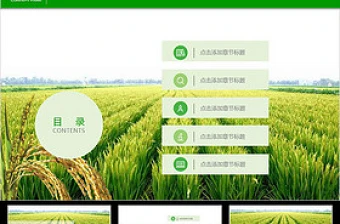 绿色田野背景农业生产种植农业局农村PPT